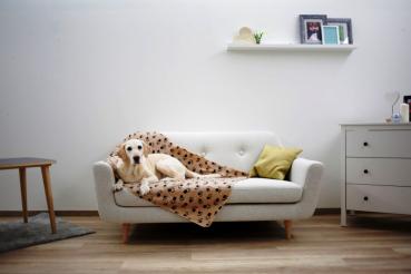 Liegedecke "Stella" 140x100cm